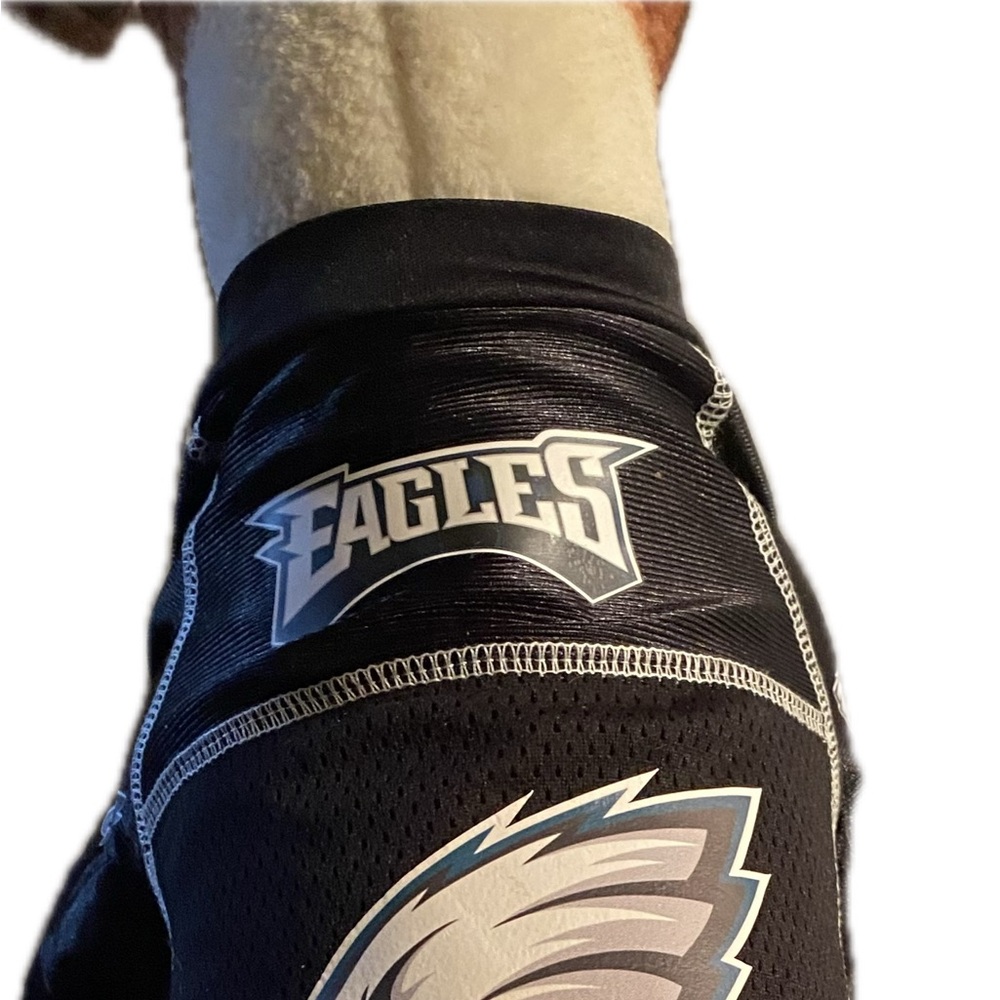 COPY - NFL official Eagles Dog Jersey